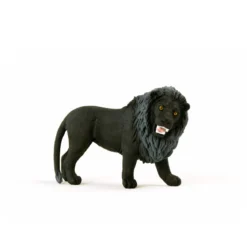 Lion noir, rugissant