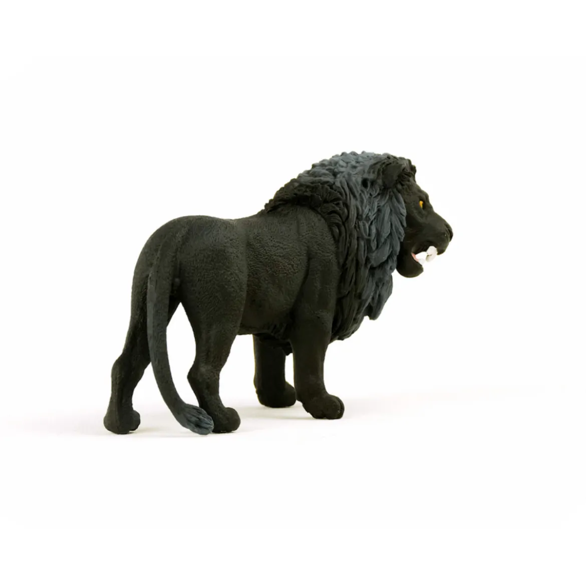 Lion noir, rugissant