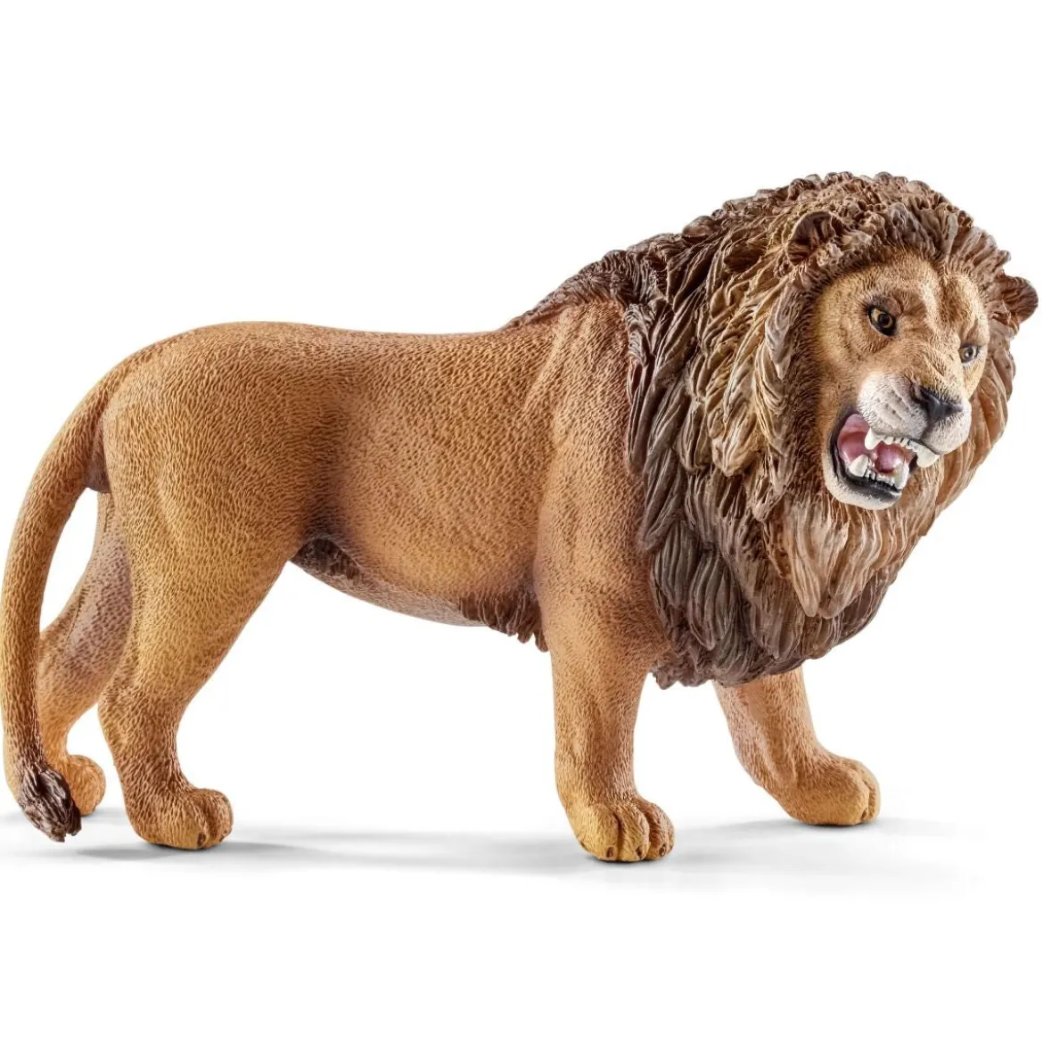 Lion rugissant