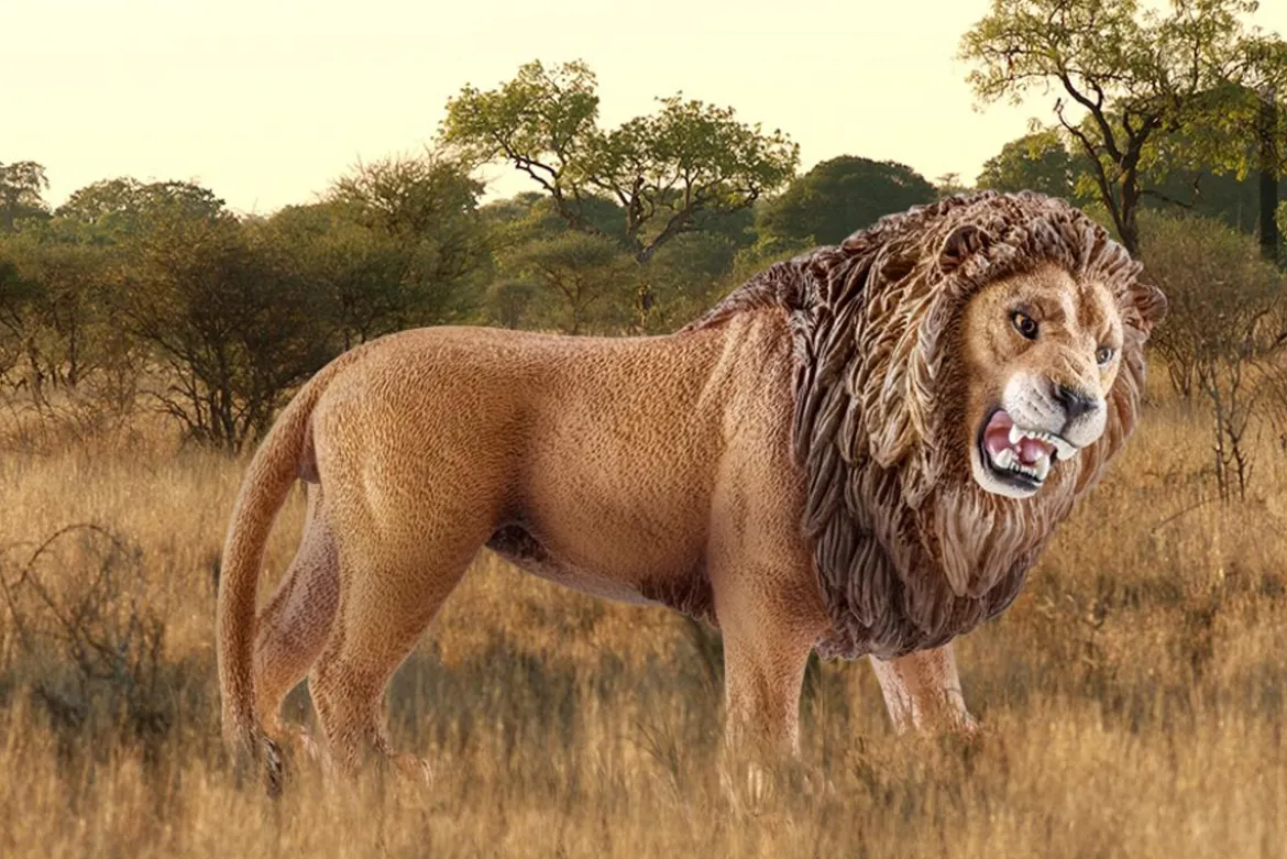 Lion rugissant