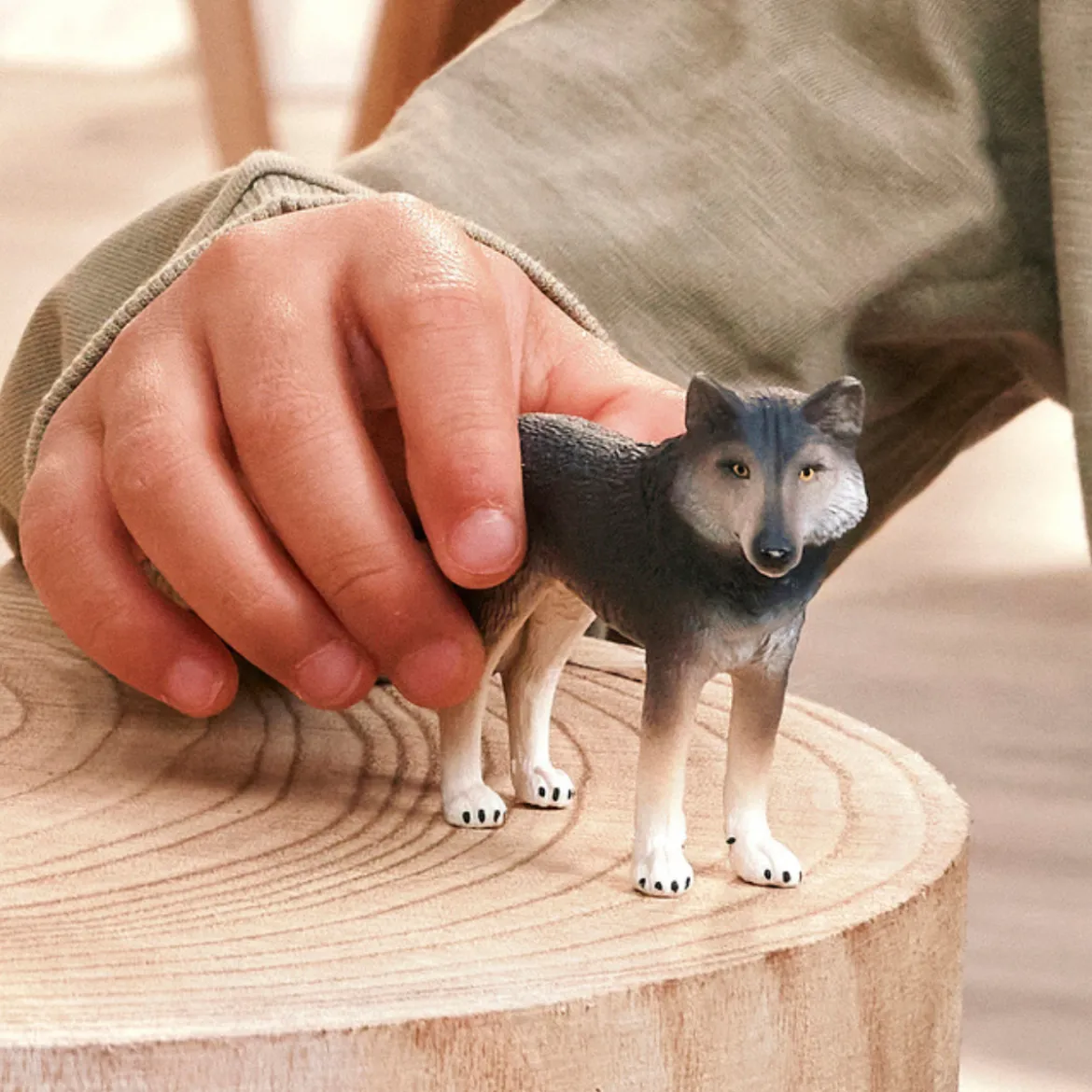 Loup américain