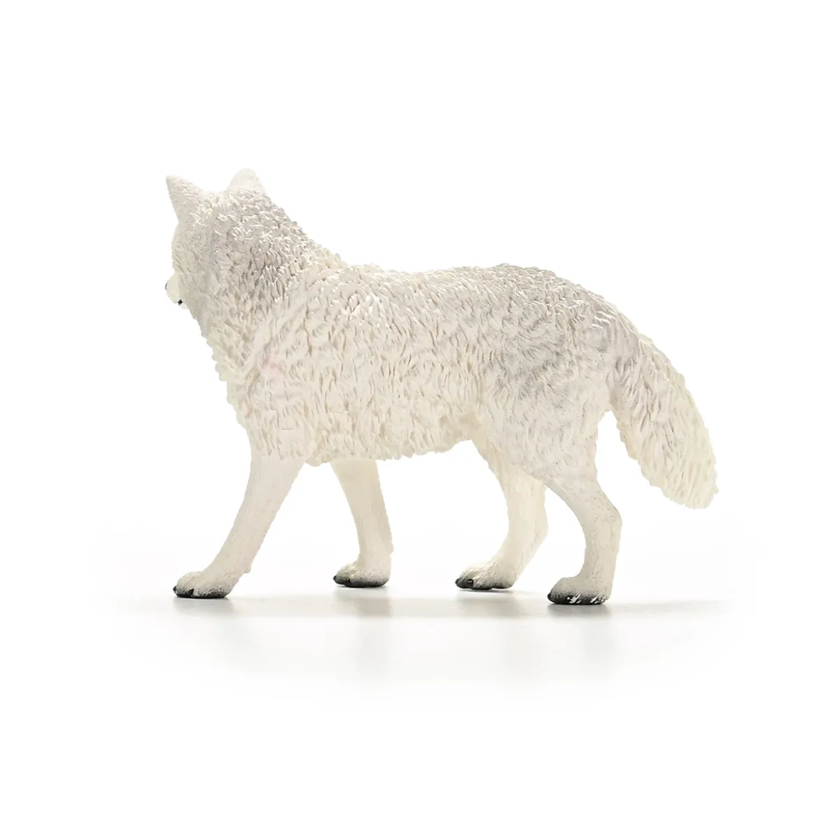 Loup Arctique