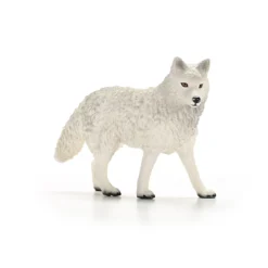 Loup Arctique