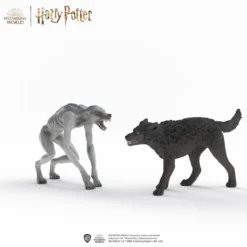 Loup-garou contre Animagus