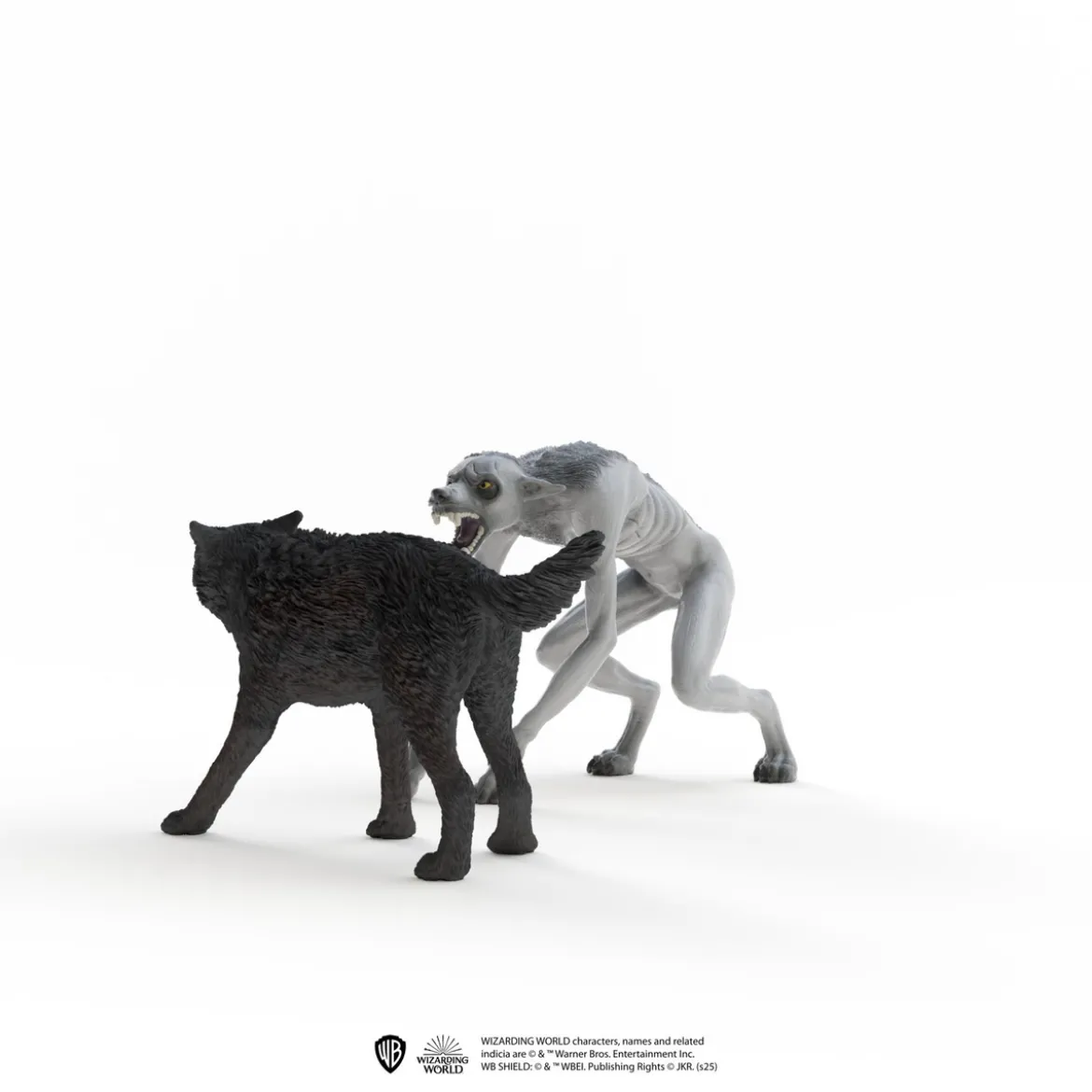 Loup-garou contre Animagus