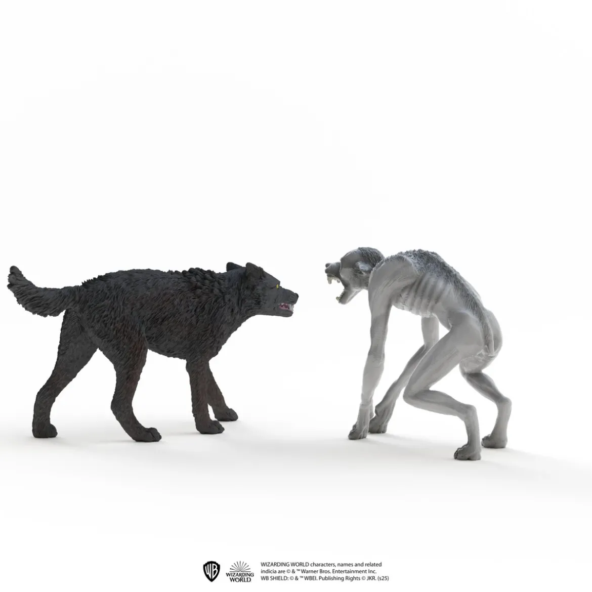 Loup-garou contre Animagus