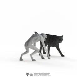 Loup-garou contre Animagus
