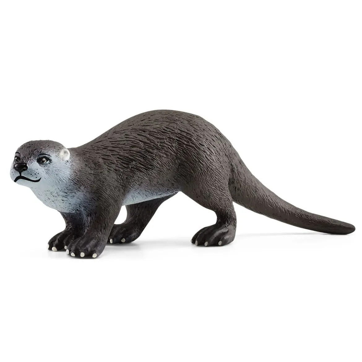 Loutre