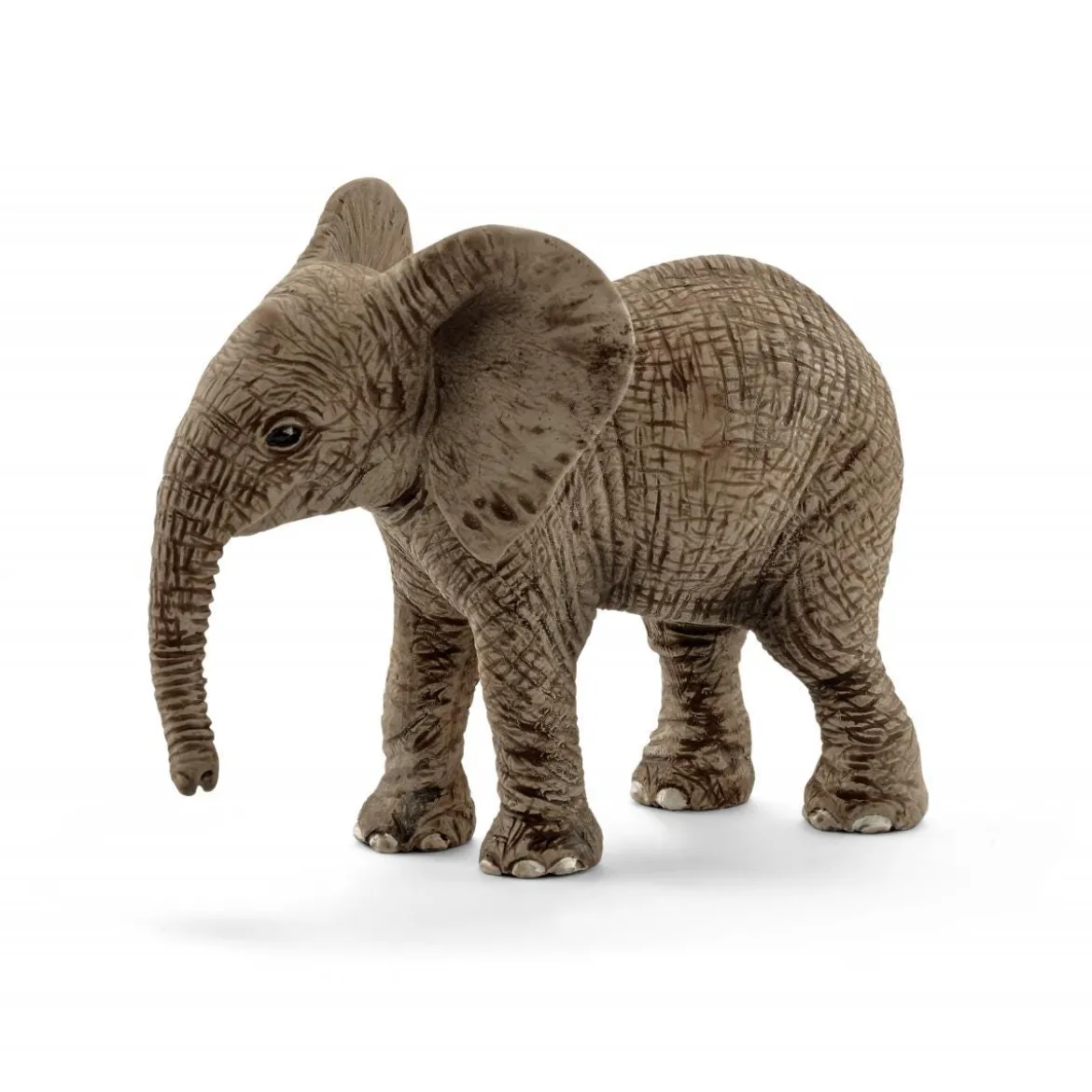 Éléphanteau d'Afrique