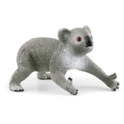 Maman Koala Avec Son Bébé