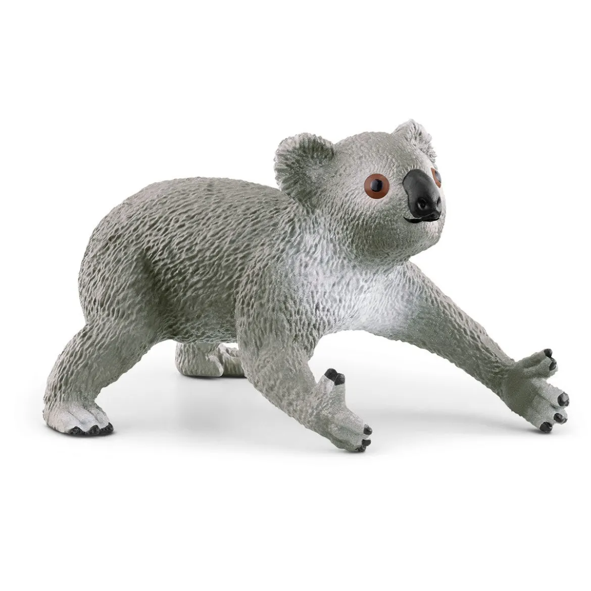 Maman Koala Avec Son Bébé