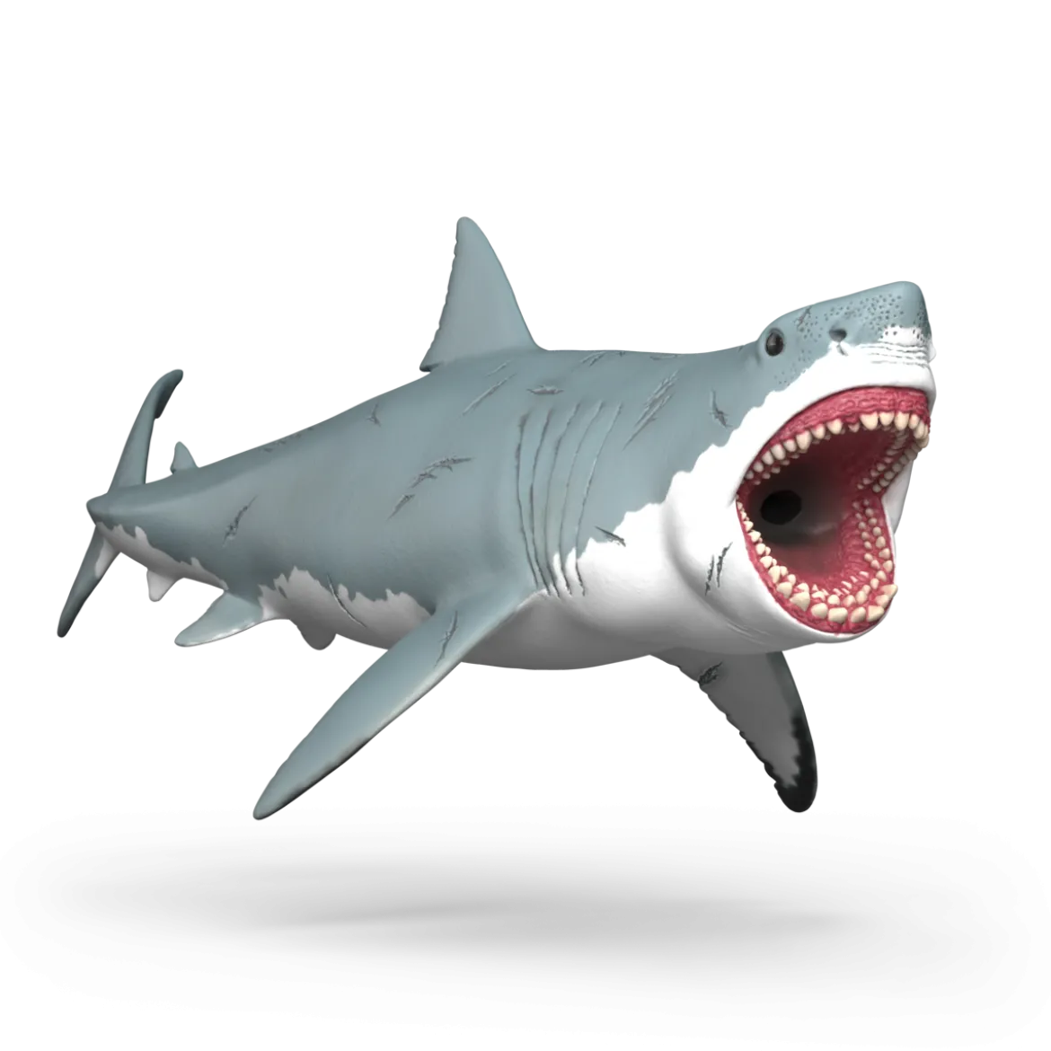 Mégalodon