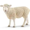 Mouton