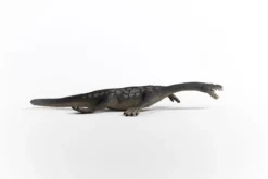 Nothosaurus