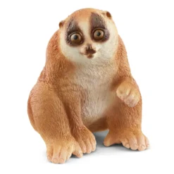 Nycticèbe