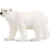 Ours polaire (bundle)