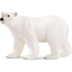 Ours polaire (bundle)