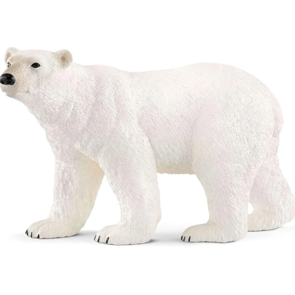 Ours polaire (bundle)
