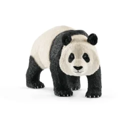 Panda géant, mâle