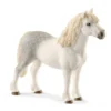 Poney gallois mâle