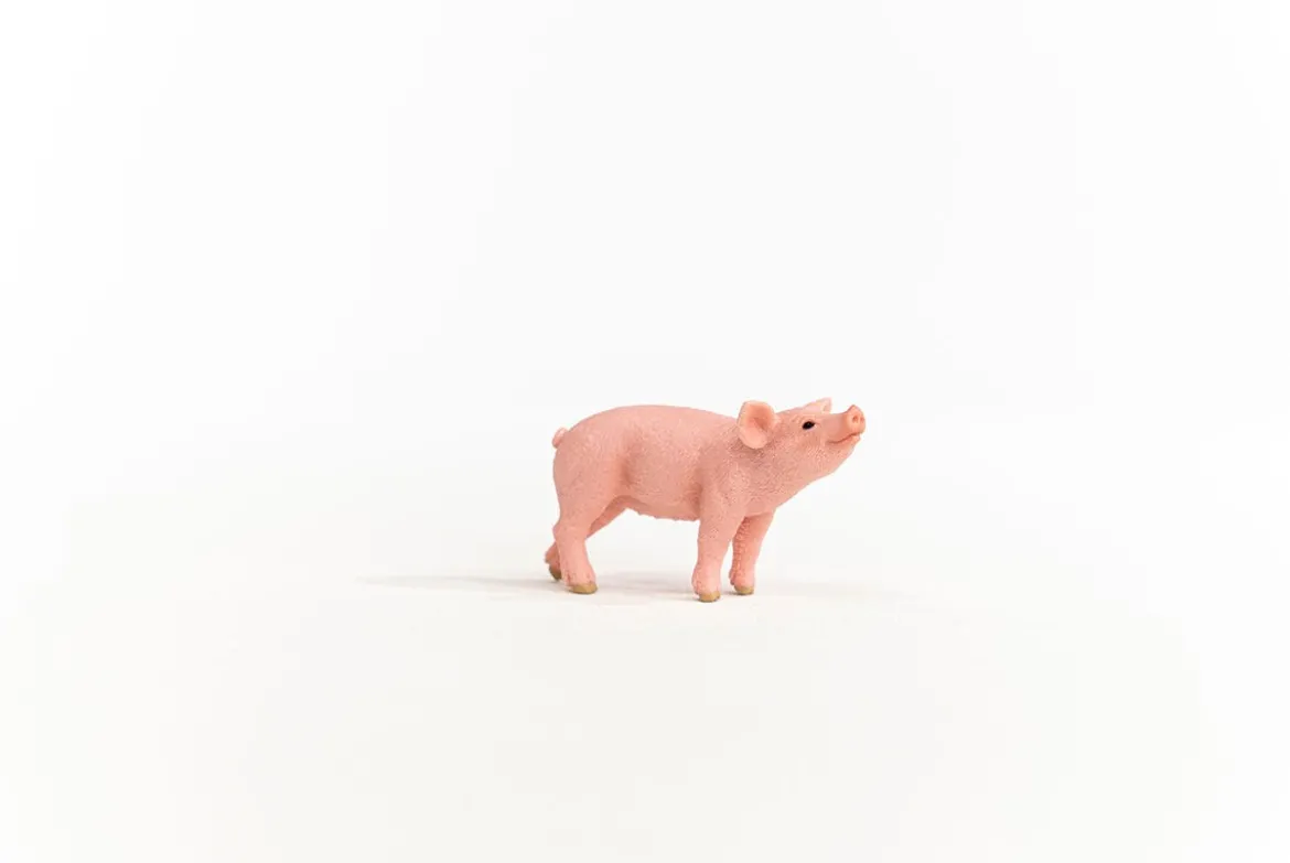 Porcelet