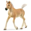 Poulain Haflinger
