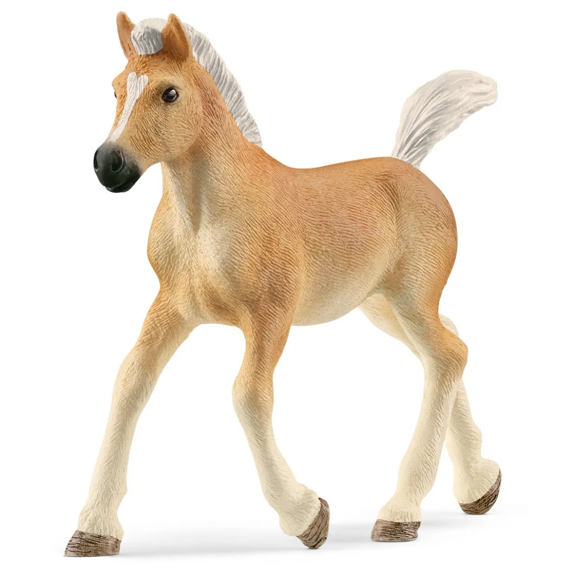 Poulain Haflinger