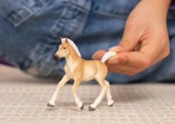 Poulain Haflinger
