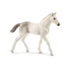 Poulain Holstein (Bundle)