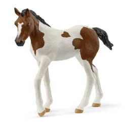 Poulain Paint Horse