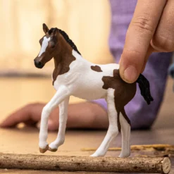 Poulain Paint Horse
