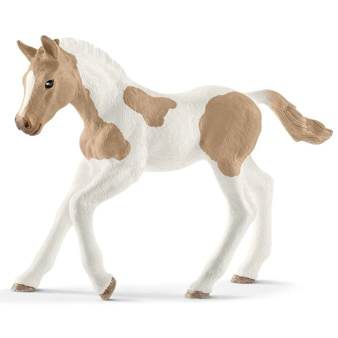 Poulain Paint Horse