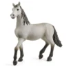Poulain pure race espagnole