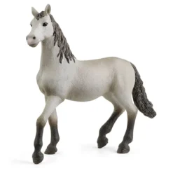 Poulain pure race espagnole