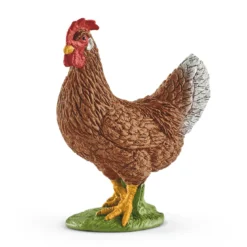 Poule (Bundle)