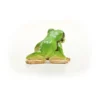 Rainette Verte