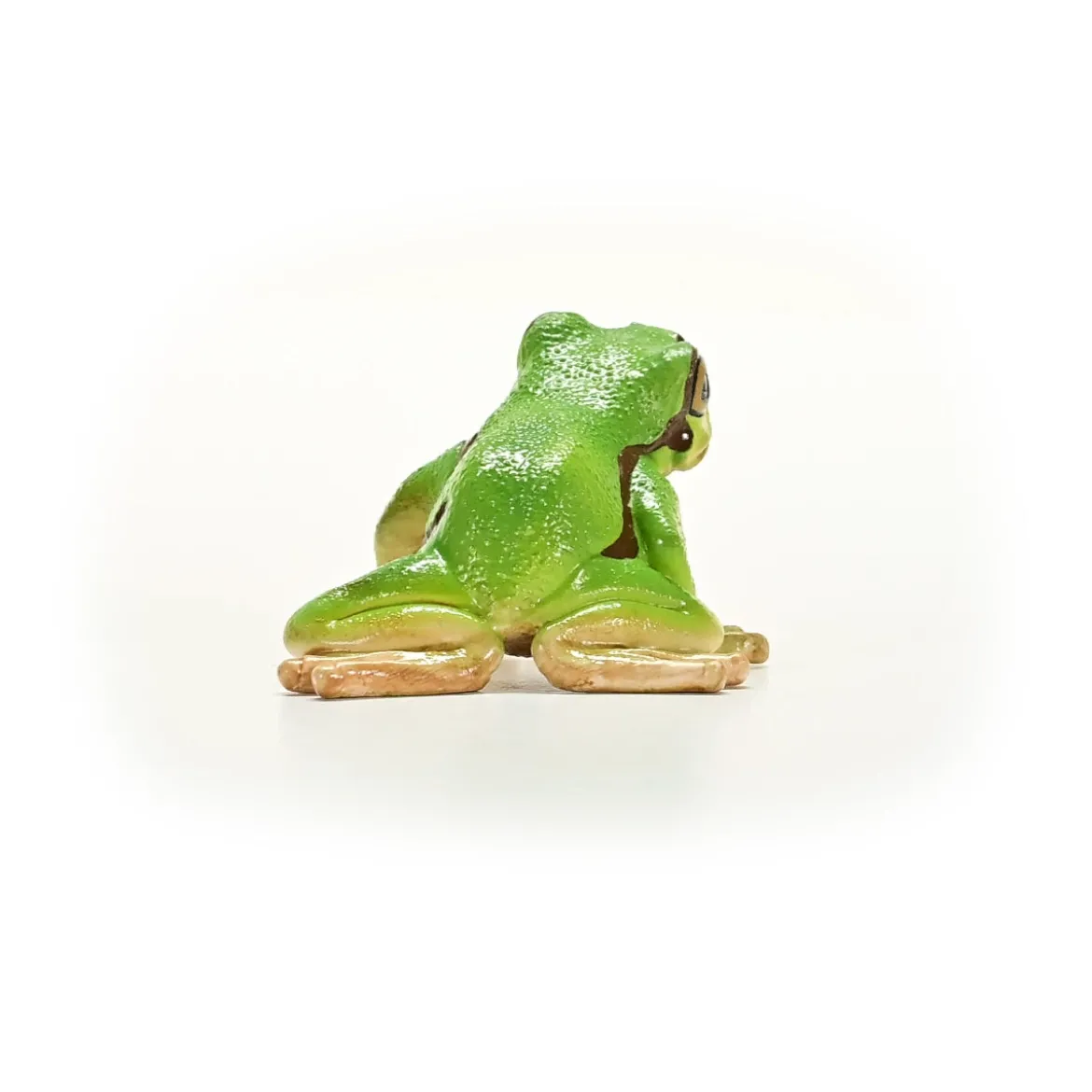 Rainette Verte