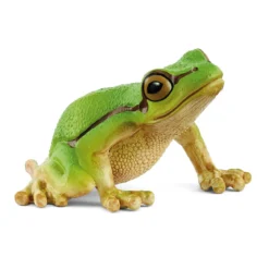 Rainette Verte