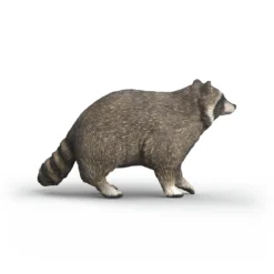 Raton laveur