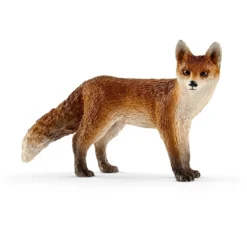 Renard