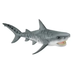 Requin tigre (bundle)