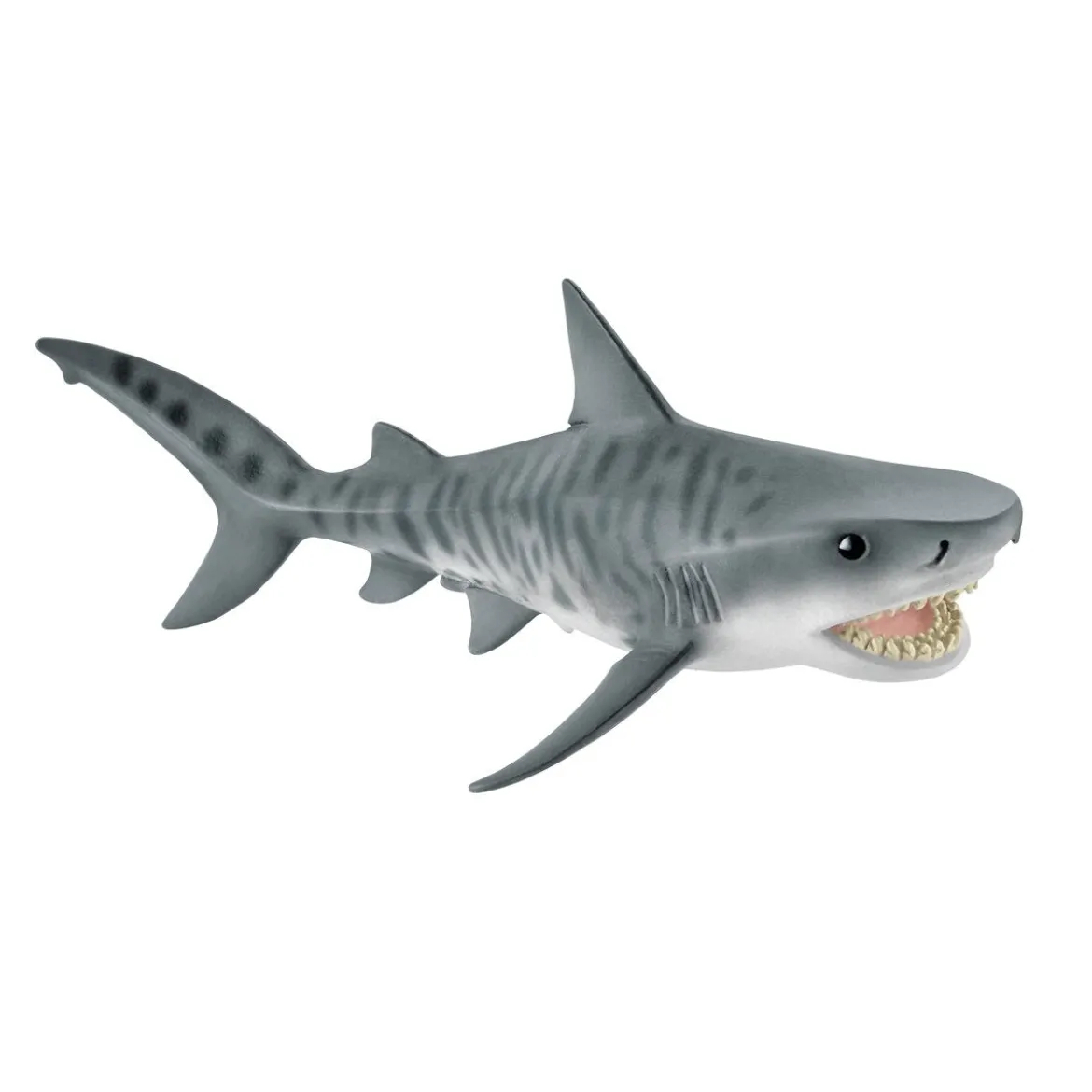 Requin tigre (bundle)