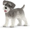 Schnauzer nain