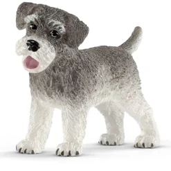 Schnauzer nain