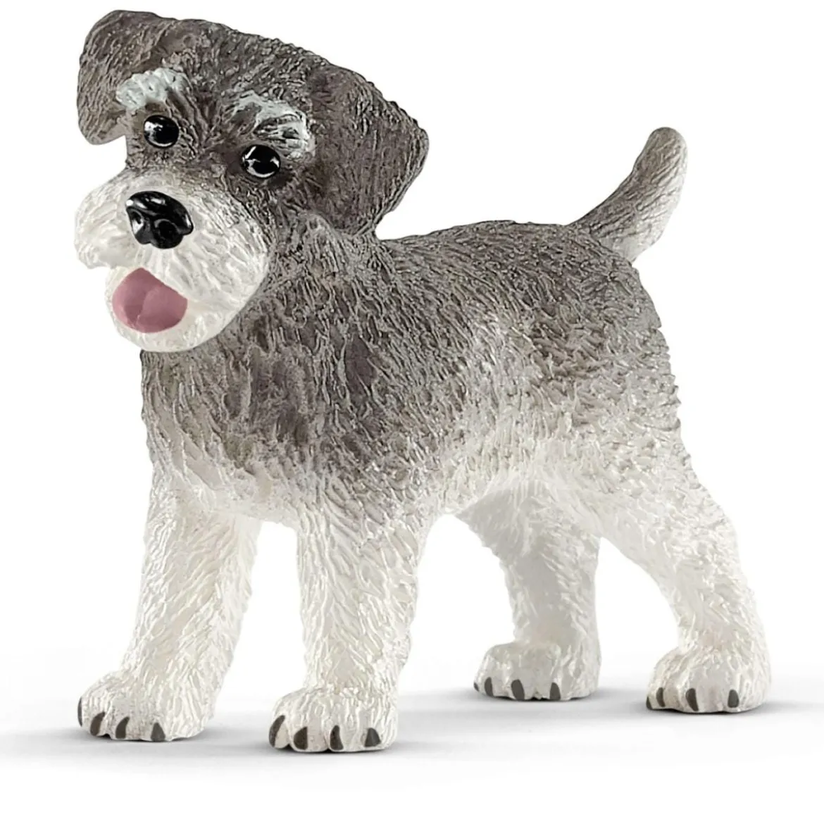 Schnauzer nain