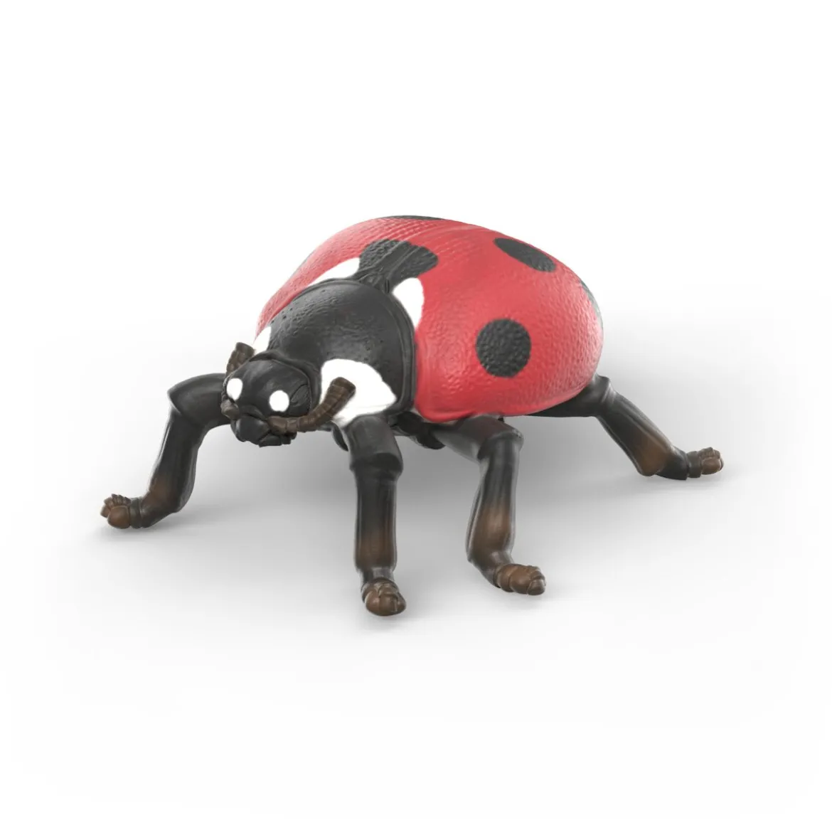 Set découverte : les insectes