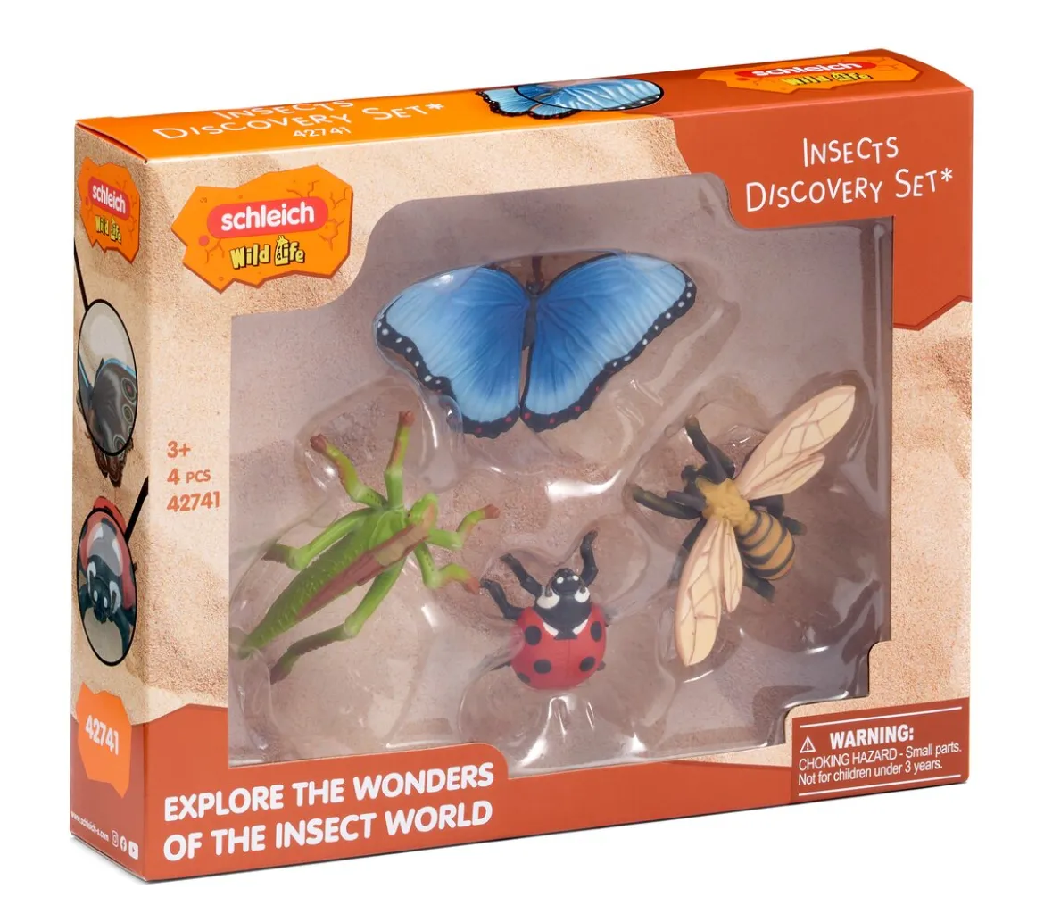 Set découverte : les insectes