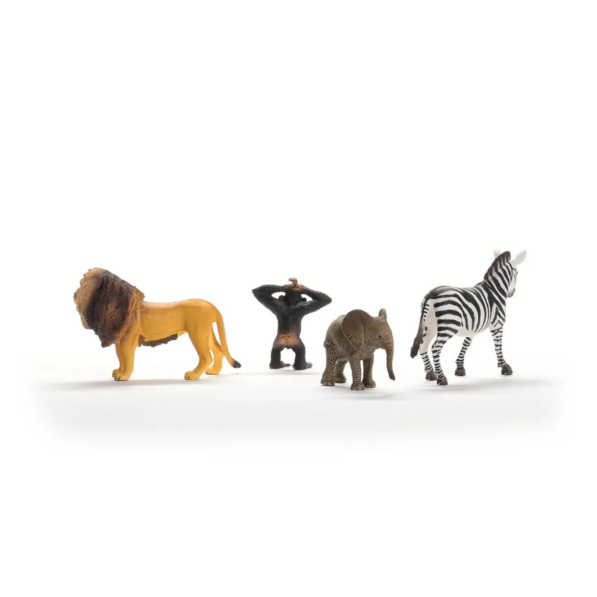 Set de iniciación África de Wild Life