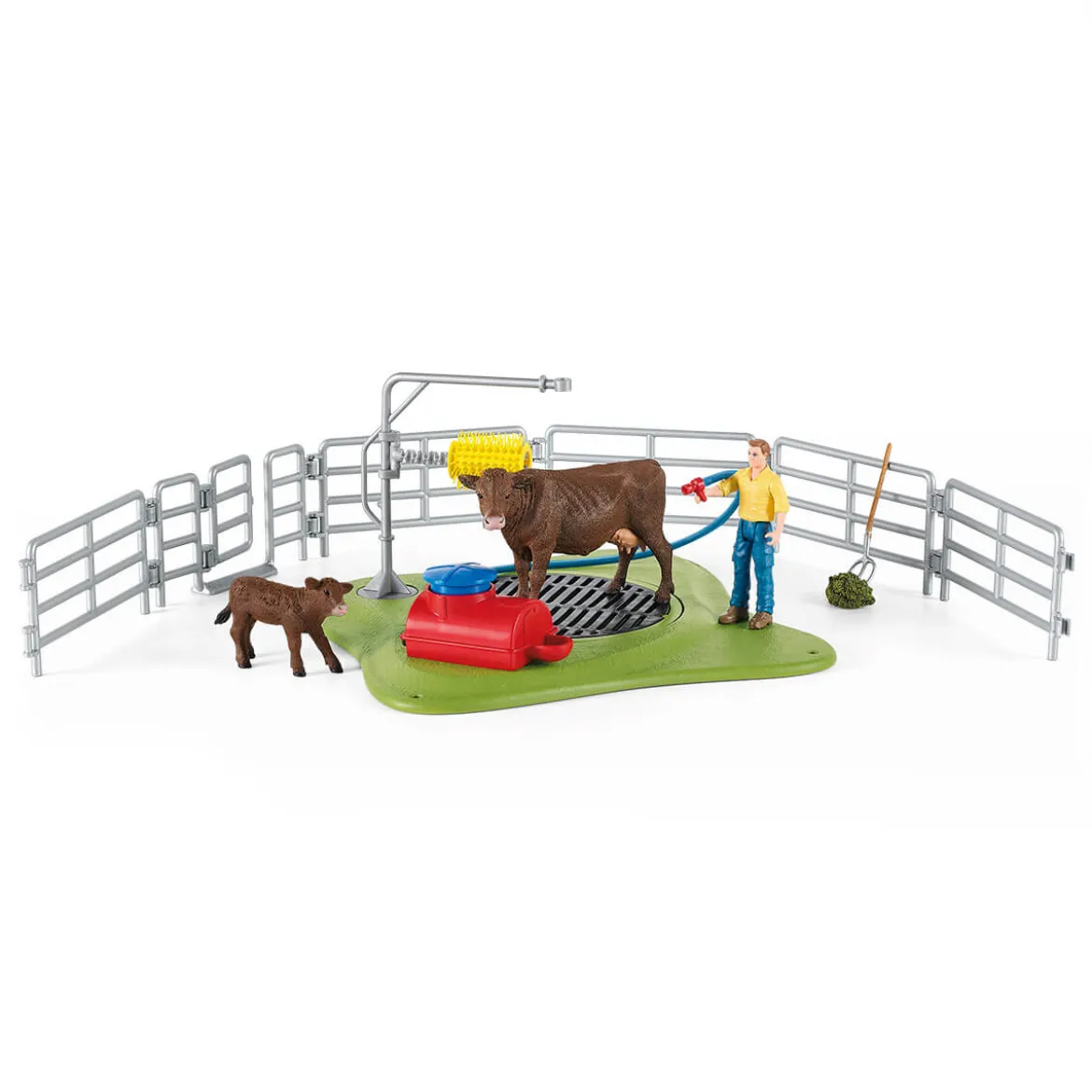 Station de lavage de vaches