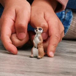Suricate